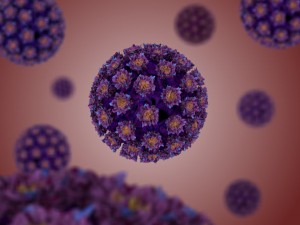 human papilomavirus